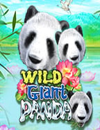 spadegaming สมัคร เล่นง่าย จ่ายจริง สุดมันส์